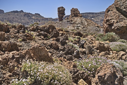 16 luglio Teide
